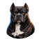 Titan mascot
