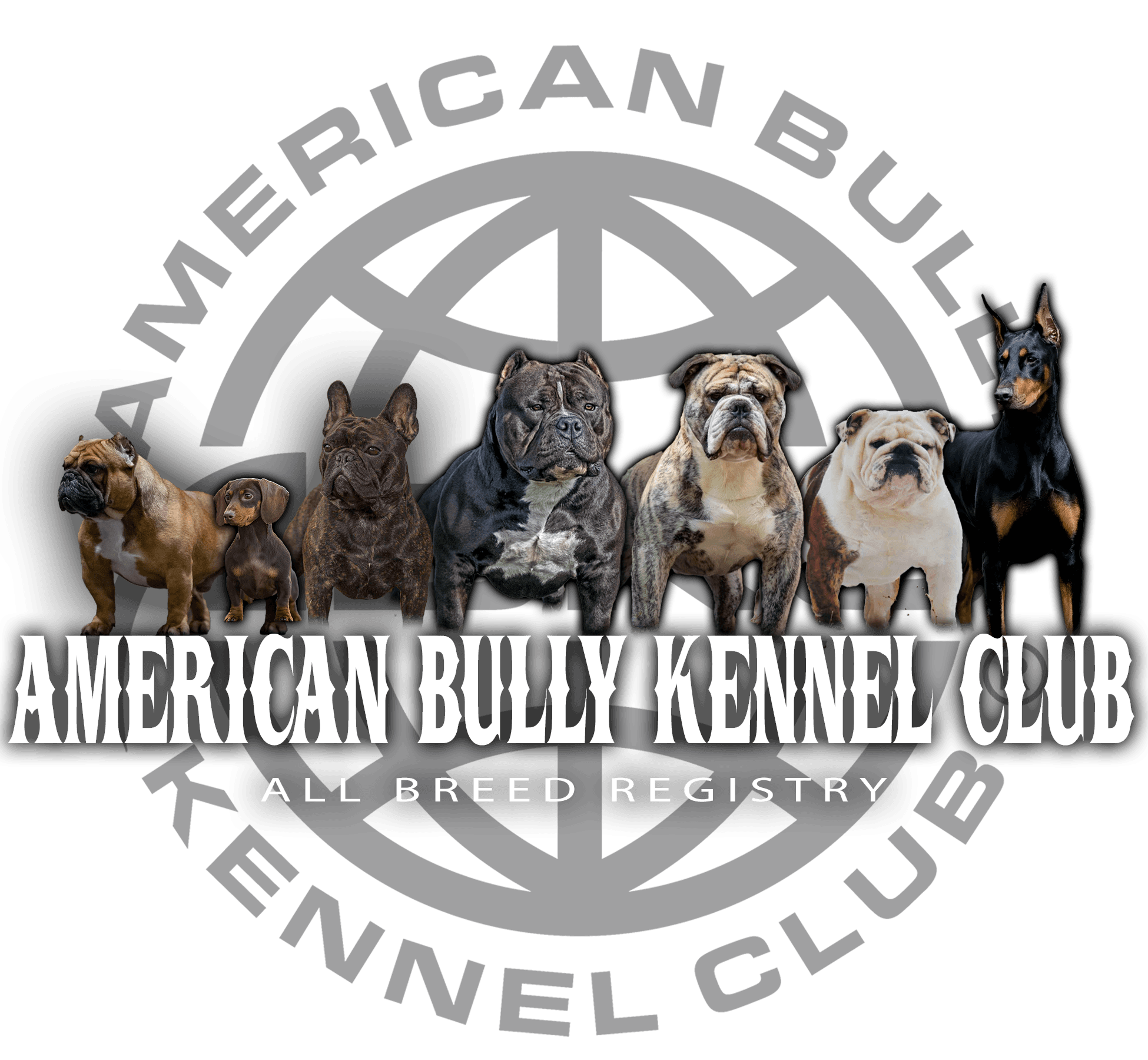 We Are The American Bully - ABKC
