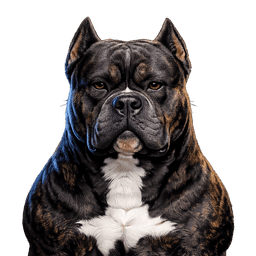 Titan contemplative mascot