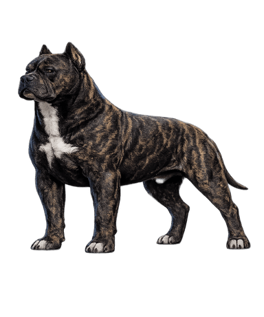 Titan in show stance